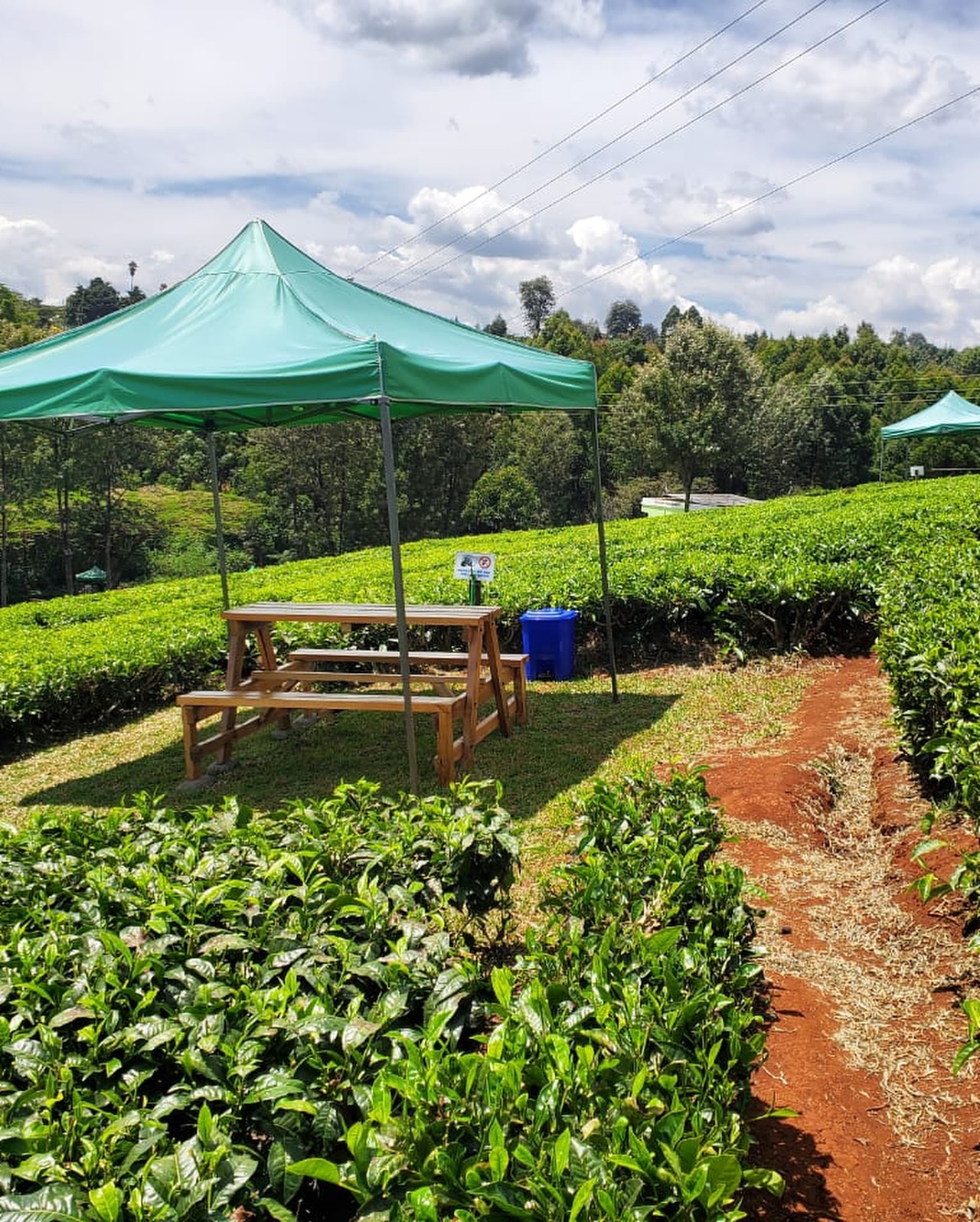 Picnicking in Tigoni nature spots