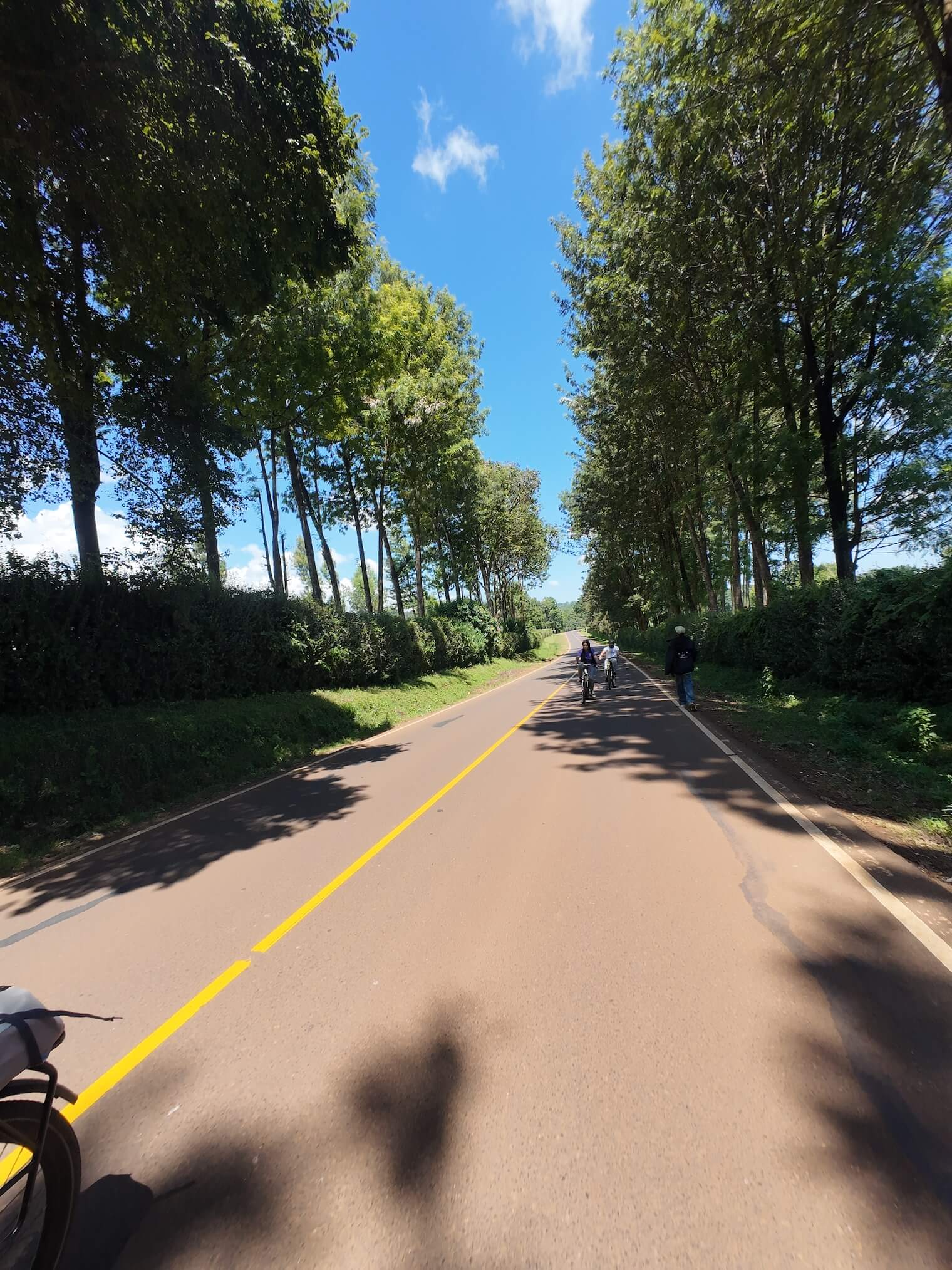 E-Bike tour through tea farms in Tigoni, Kenya